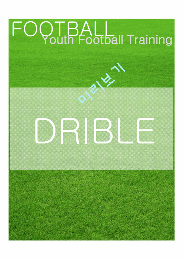 실전 유소년 축구 트레이닝 프로그램(종합)   (1 )